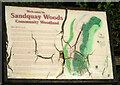 Information board, Sandquay Woods