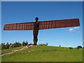 NZ2657 : The Angel of the North by Jennifer Petrie