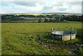 Field beside Langbank Holdings