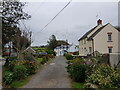 Birds above Llanrhian houses, Pembrokeshire