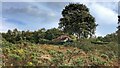 House to the west of Duddleswell Tea Rooms