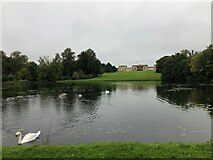 SP6736 : Octagon Lake, Stowe Park by Philip Cornwall