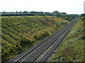 The line to Langport