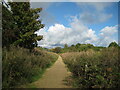 Footpath by the railway