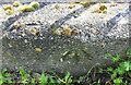 Benchmark on culvert over River Leen