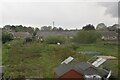 Allotments on the edge of Markham