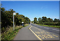 Bus stop on the B1278, Salters Lane