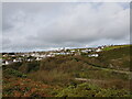 View of Upper Solva from the Gribin (2)