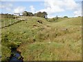 Brock Burn, East Burncastle