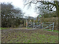 Wet and muddy footpath gateway