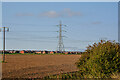 Bramley : Ploughed Field