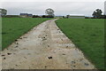 Footpath from Cockley Road