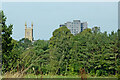 Trees, tower and tower blocks in Macclesfield, Cheshire