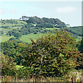 Cheshire farmland and hillside east of Macclesfield