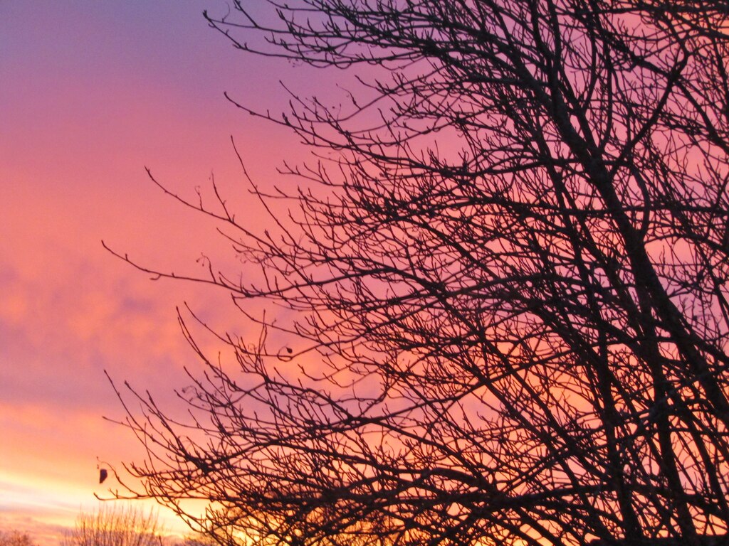 Merrow - Midwinter © Colin Smith cc-by-sa/2.0 :: Geograph Britain and ...