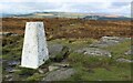 SK2675 : Trig Point on Big Moor by Dave Pickersgill