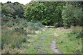 Path across Dewlands Common