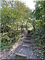 Steps from Henrhyd Falls