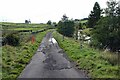 Access road to Tedham Green