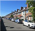 Houses on Hastings Road