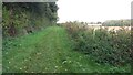 Bridleway heading to the lane from Charlton