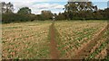 Bridleway heading to Croughton