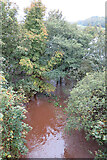 NJ3459 : Flooding in the Woods by Anne Burgess