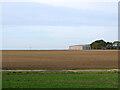 Fowlmere Aerodrome: windsock, aircraft and hangar