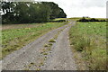 Footpath / farm track