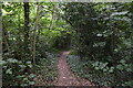 Footpath to Whydown Rd