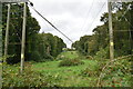 Pylons through High Peartree Wood