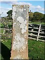 NY9359 : Stone gatepost in field by Charlotte Tagart