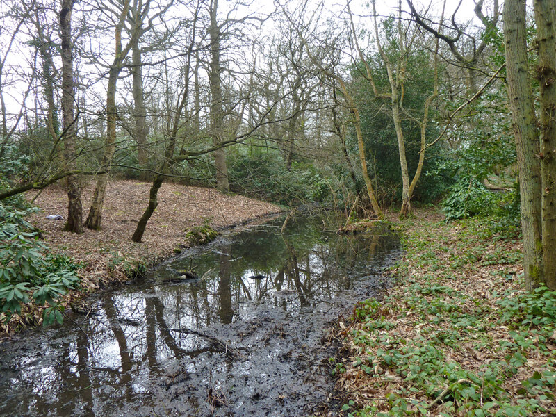 Grim's Ditch © Robin Webster cc-by-sa/2.0 :: Geograph Britain and Ireland