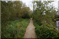 Thames path towards Osney, Oxford