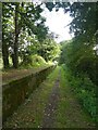 The platform of Meeth Halt, closed in 1965