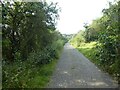 Access track through Meeth Nature Reserve