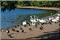 Doncaster : Lakeside Lake