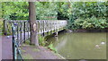 Bridge in Birkenhead Park