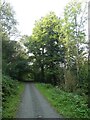 Tarka Trail south-east of Barley Hayes