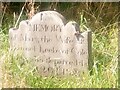 Gravestone and Red Admiral butterfly, Ellesmere churchyard