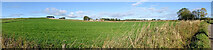 NJ4453 : Fields near Foulford by Anne Burgess