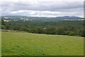 Strathspey above Dalvenuan