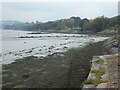 Estuary of River Plym north of Laira Bridge