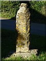 SO8637 : Remains of the Medieval village cross by Philip Halling