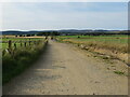 Track between fields leading to Easter Gallovie