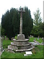 ST0642 : The cross in St Decuman's churchyard by Neil Owen