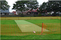 NJ4264 : Cricket Wicket by Anne Burgess