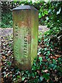 Old boundary marker, off Royal Artillery Way