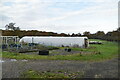 Polytunnel, Park Farm