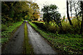 Damp along Drumconnelly Road